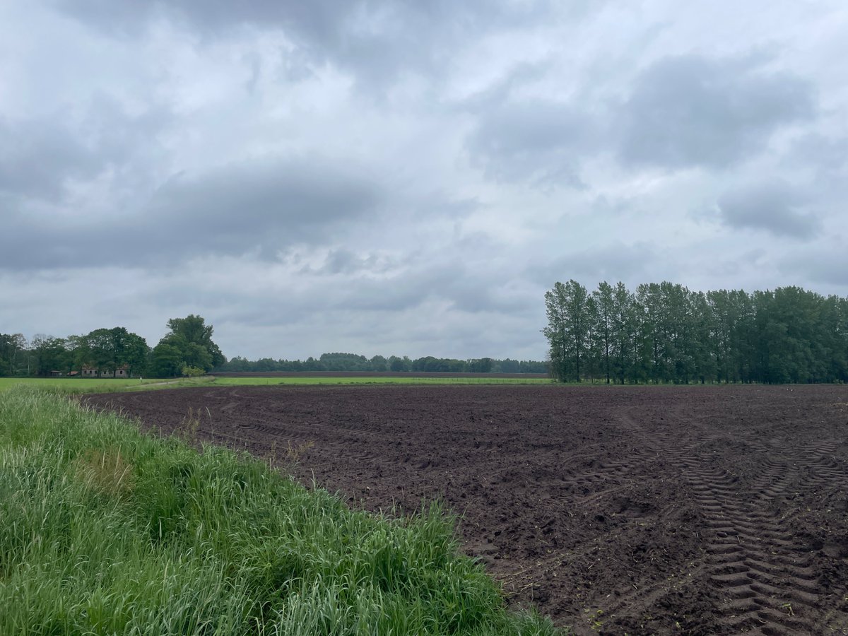 YvesBergmans's tweet photo. 6 mei 11.03 Vorst @BuienradarBE #vrtweer #weiland #regenachtig https://t.co/FxcFNYjiB0