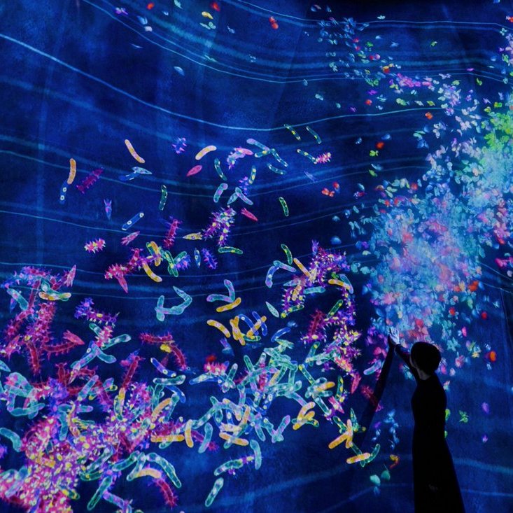 チームラボ プラネッツ teamLab Planets TOKYO tweet media