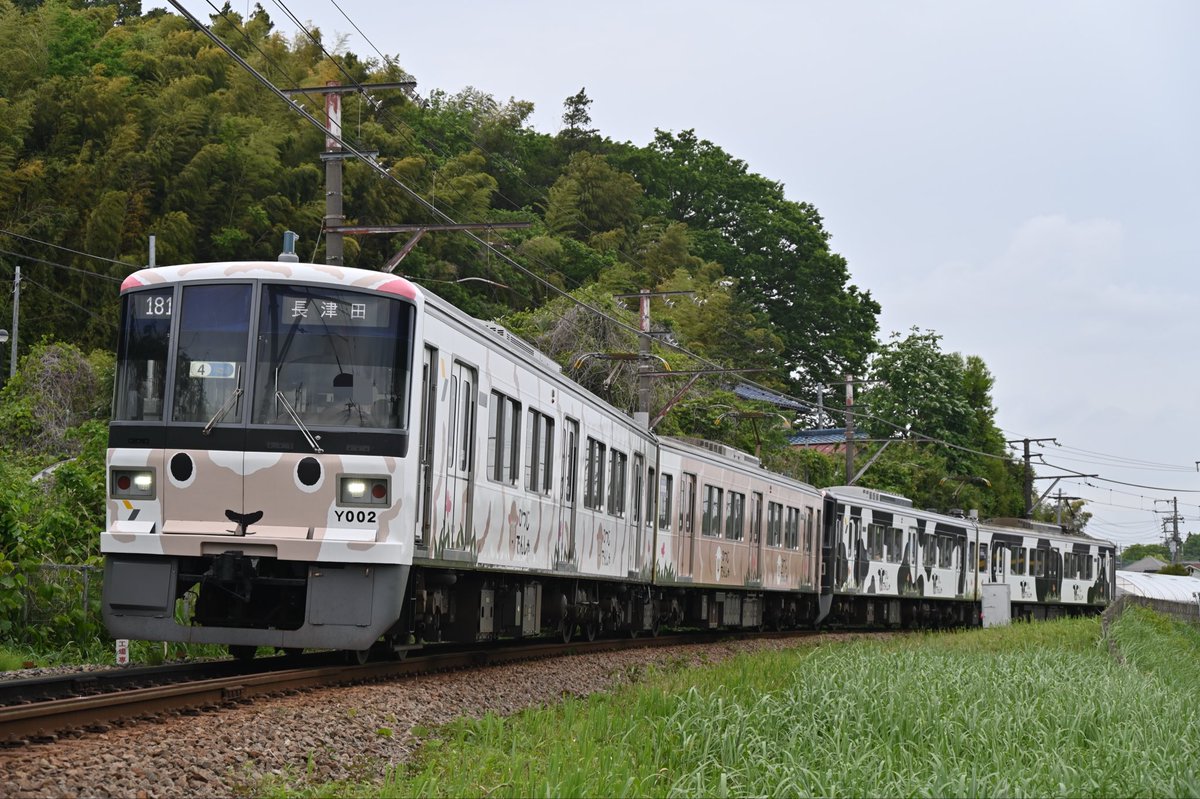 チャーハン tweet media