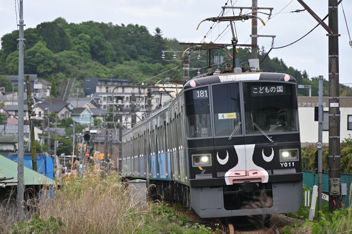 チャーハン tweet media