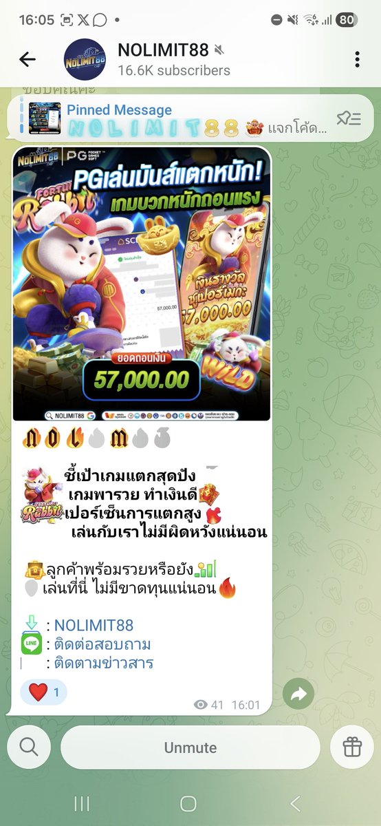Supaki tweet media