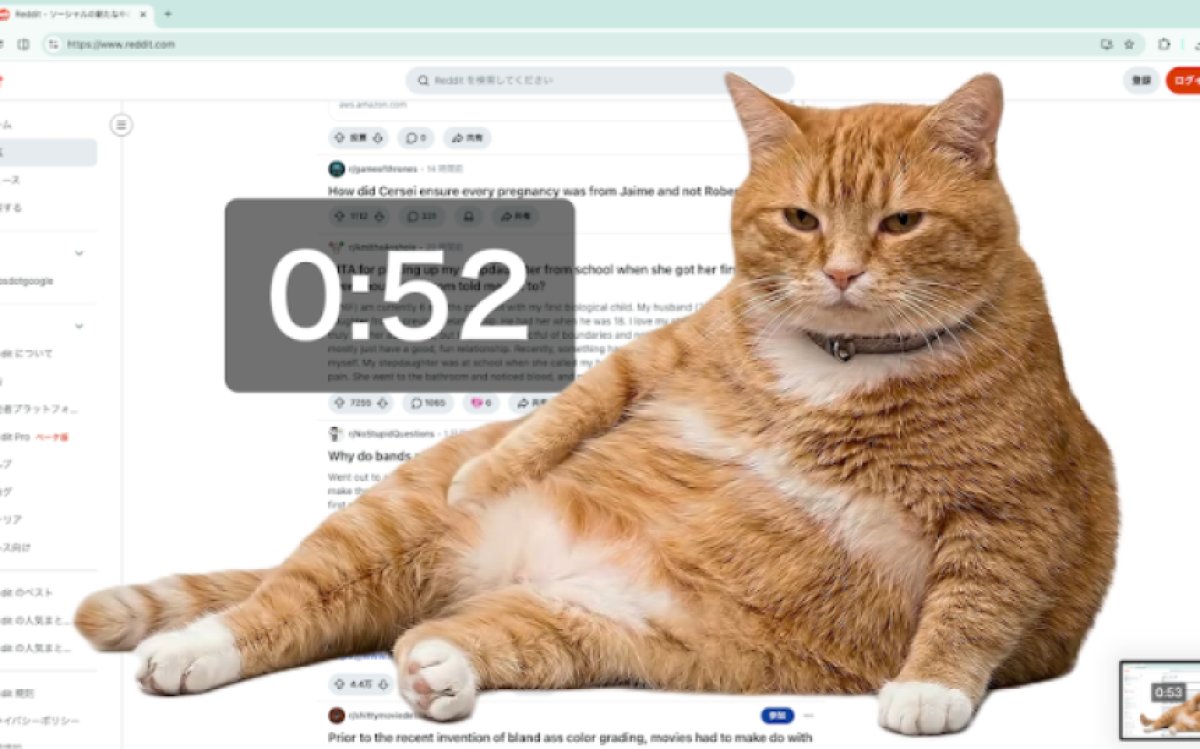 前門の狼、後門の虎（逆だっけ？） じゃないが、画面内の猫、画面前の