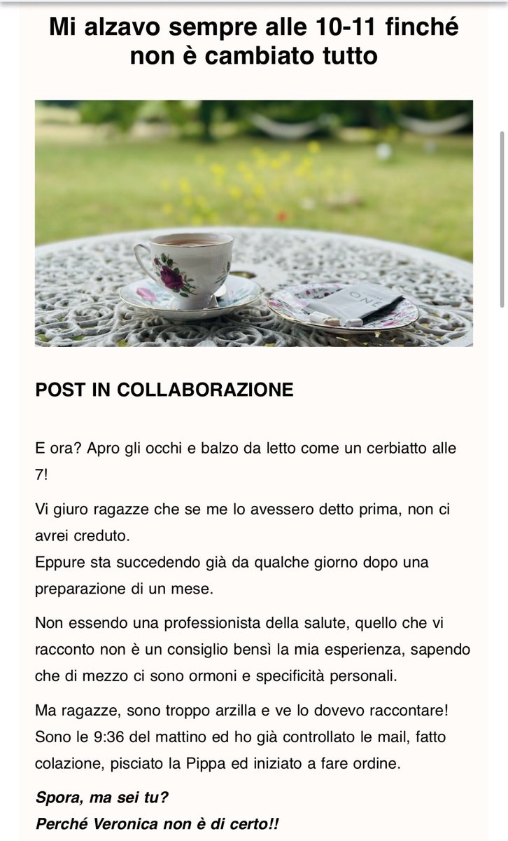BimbaNoir tweet media