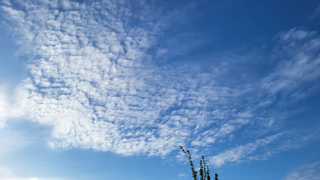 Chemtrail Science tweet media