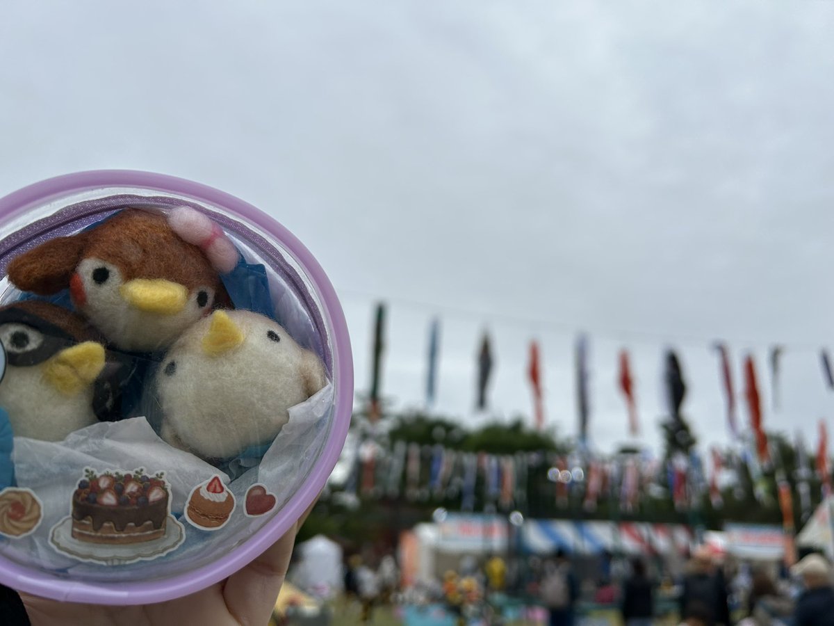 まるいのがすき（まる）ぽんチーム　（ハワワドギマギ顔は毎日見たい) tweet media