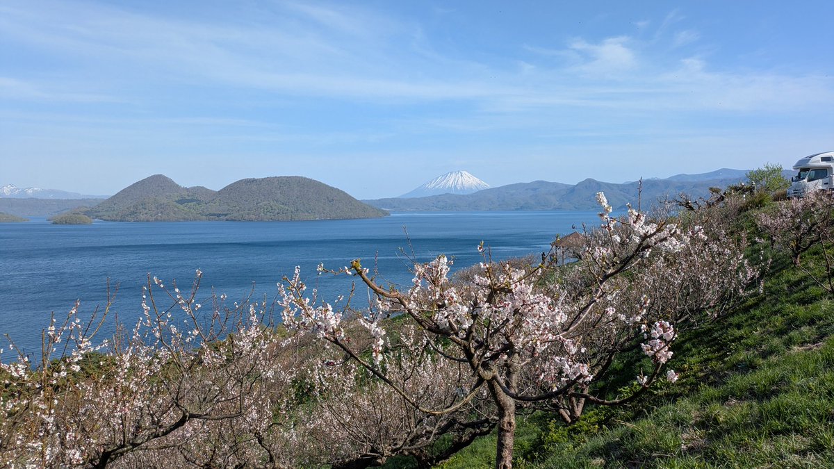 kenmei930's tweet photo. 今朝は壮瞥公園からの梅だよりです。ここから羊蹄山がくっきり見られたのは初です。風が強く湖面は荒れ模様でしたが梅と羊蹄山が見られたので今年は当たり🎯でした！
#壮瞥公園
 #梅林
 #洞爺湖
 #羊蹄山 https://t.co/AT19DgahM1