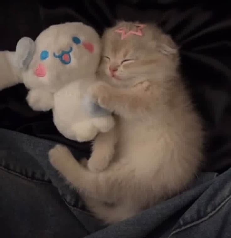Cute tweet media