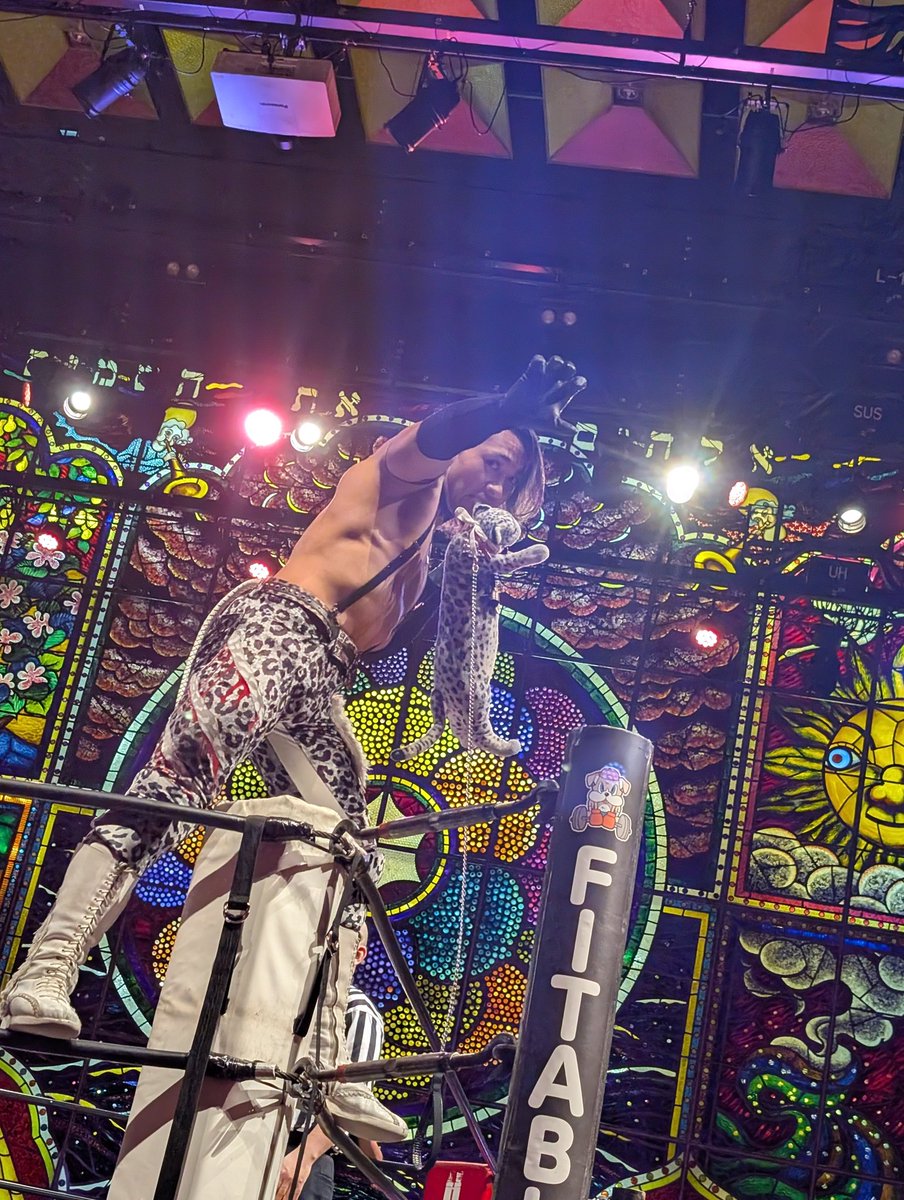 katachan1971's tweet photo. SUPERJr。
輝く姿が目に浮かぶ✨

#DRAGONGATE
#ドラゲー愛を語りたい
#SUPERJr https://t.co/6bwLtFH7Ot