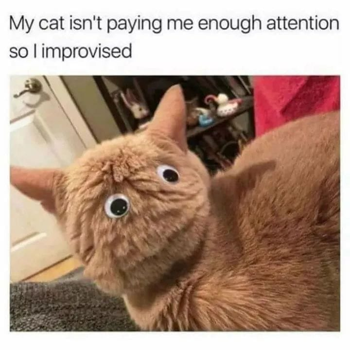 WholesomeMemes tweet media