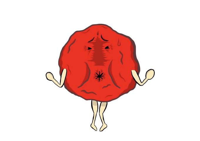 林 泰太郎 | 漢方薬局太陽堂 tweet media