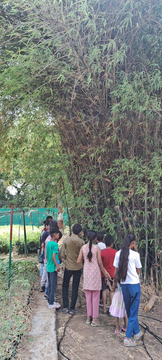 manthancsc_narmada tweet media