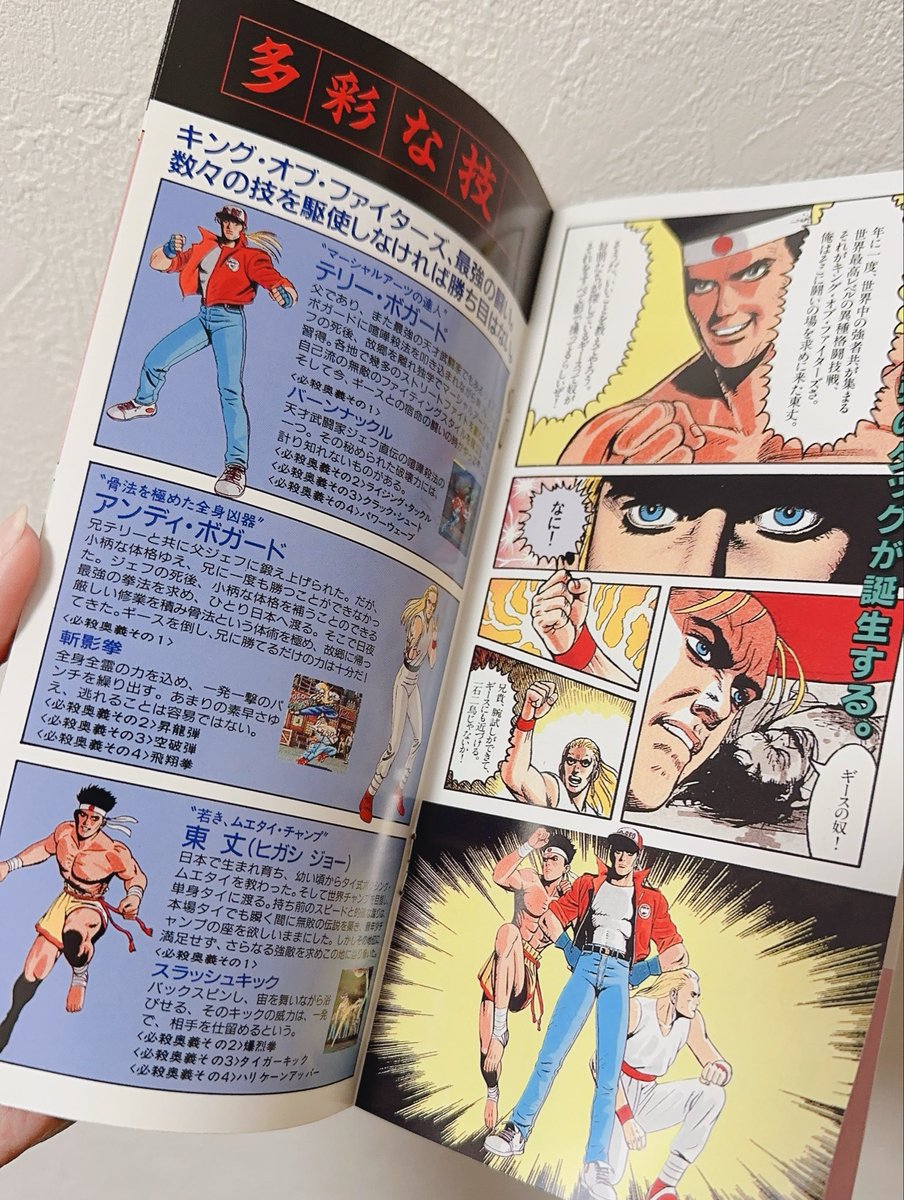 1994年のゲーメスト特別付録「餓狼伝説」のパンフ。何ページも漫画が掲載されていて豪華
#私物ゲームグッズお披露目