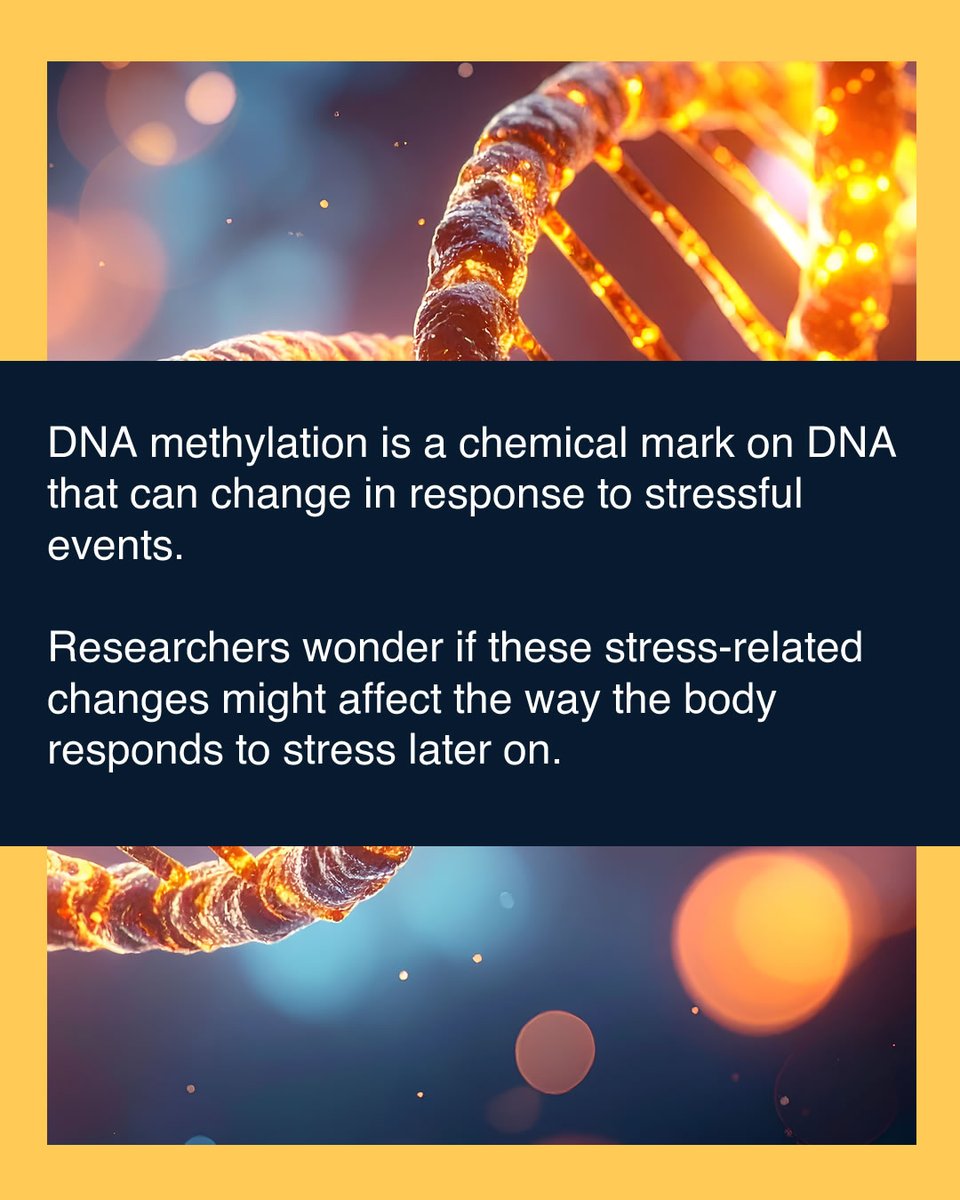 behgems's tweet photo. Link to full paper: https://t.co/cmWOn91WFA

#cortisol, #cortisolresponse, #dnamethylation, #epigenetic, #epigenetics, #health, #hpaaxis, #mentalhealth, #metaanalysis, #psychologicalstress, #ptsd, #research, #science, #stress, #stressresponse, #systematicreview, #trauma https://t.co/YcuK1zq1m5