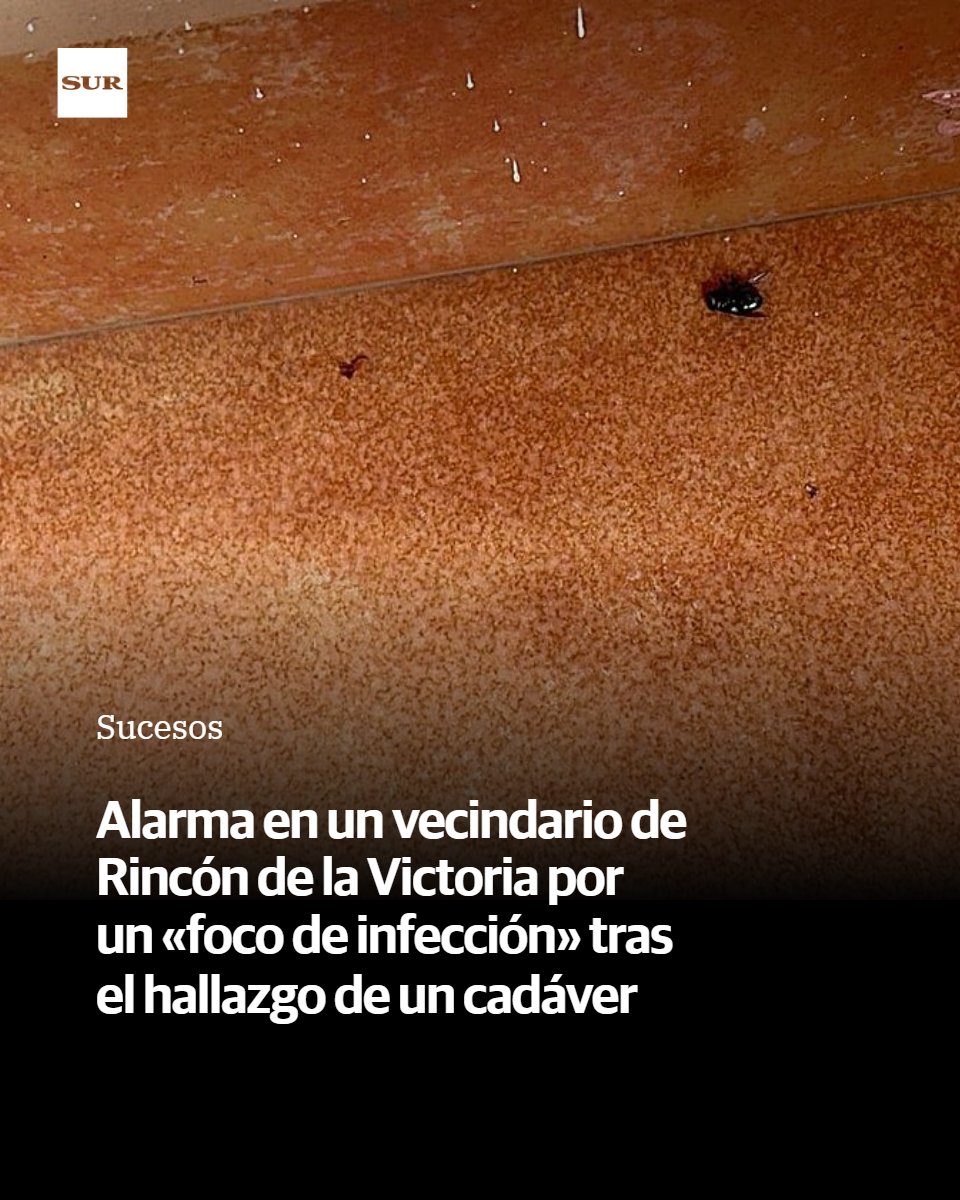 SUR. El periódico de Málaga tweet media