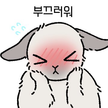 모레 tweet media