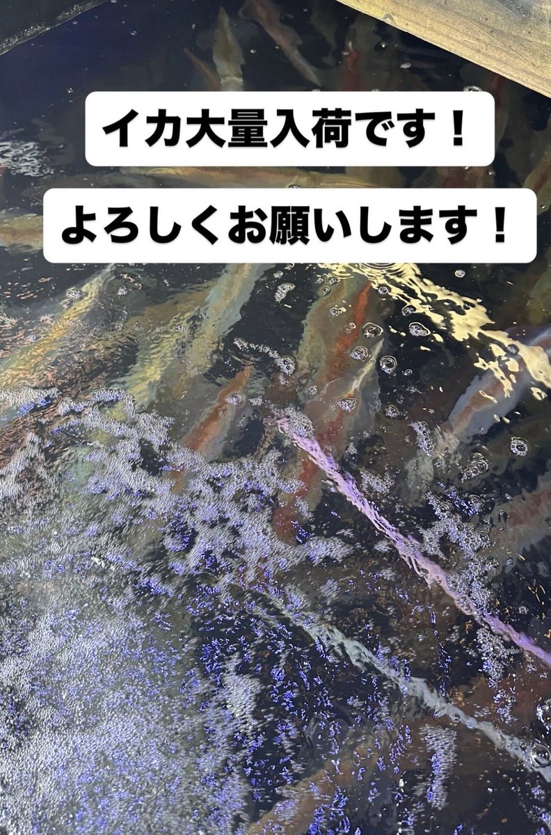 いけす料理 磯太郎 tweet media