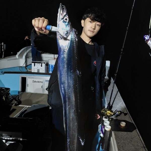 JHENDlrzigArnEL's tweet photo. 昨夜の錦江湾ナイトタチウオでドラゴン乱舞しました https://t.co/hrLVTQREgF