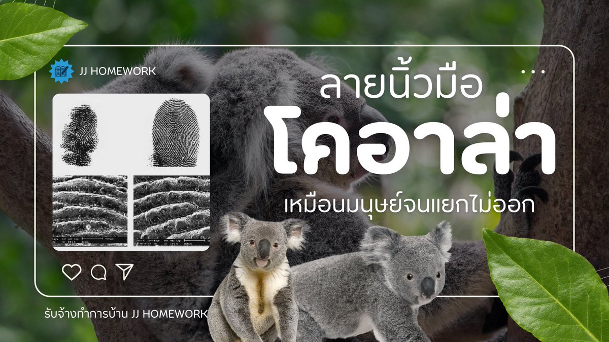 รับจ้างทำการบ้าน | 24/7 🟢 tweet media