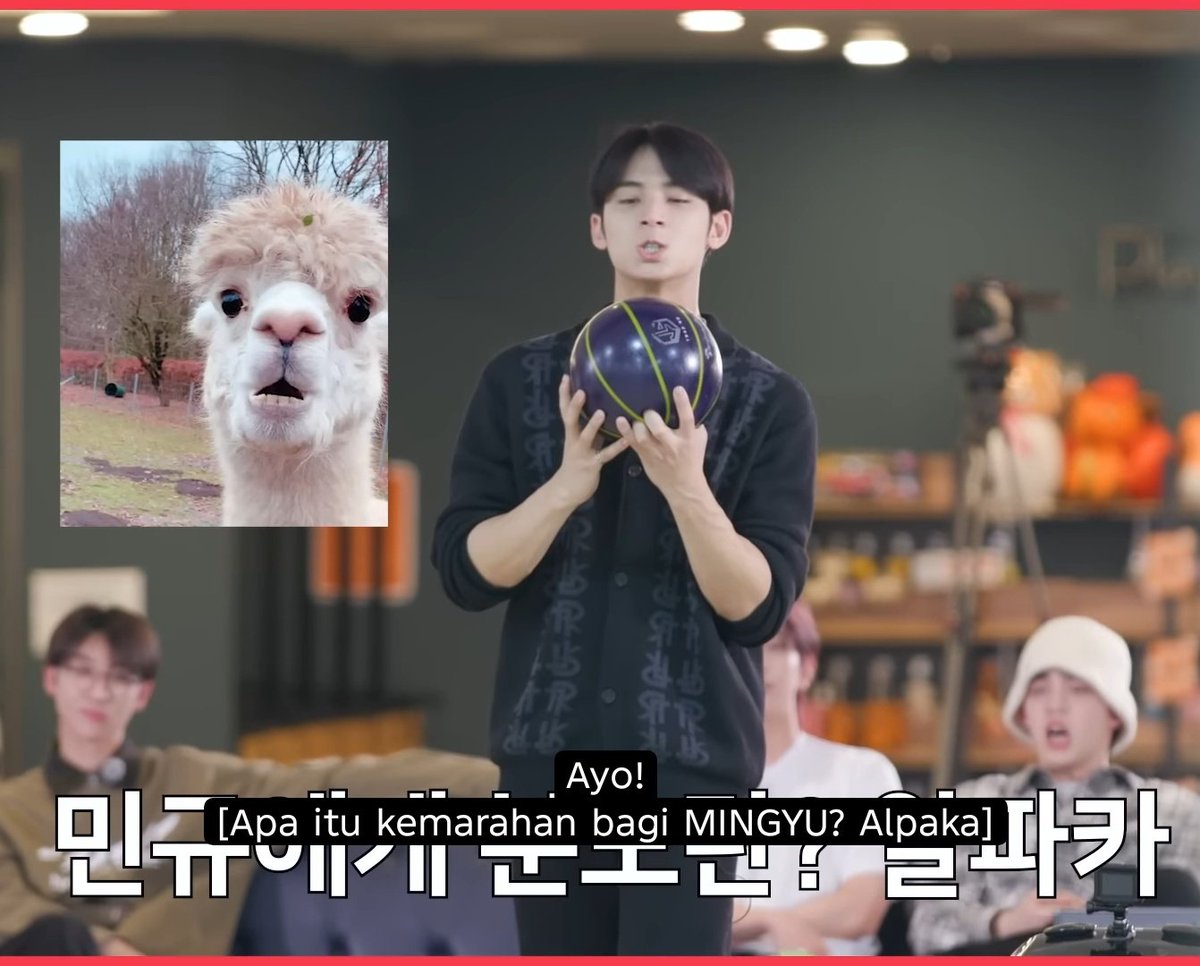 Editornya kenapa sih 😭
