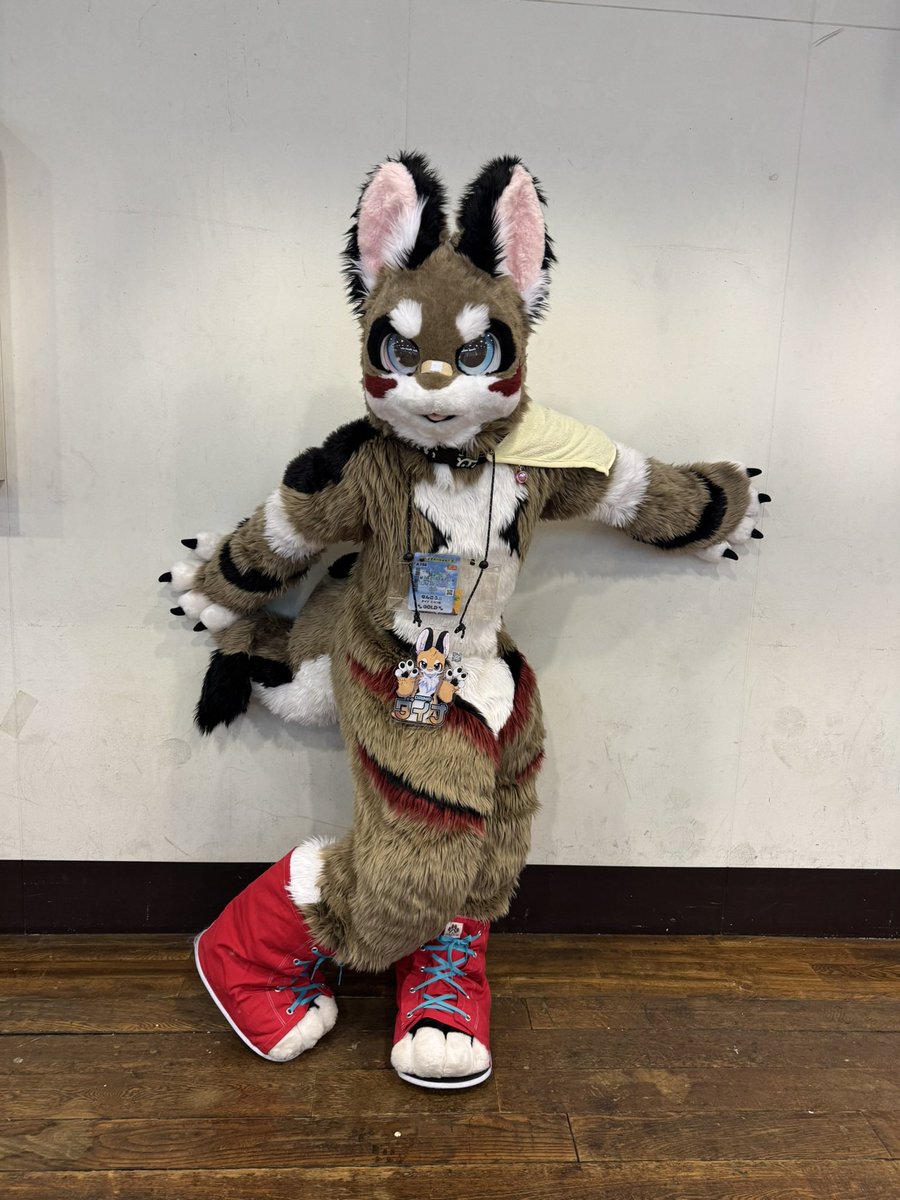 大使お助け隊のダイナさん🐰🐰
イベントの初っ端で、場の空気に圧倒されてたところを発見してくださってありがとうございました😭
おかげさまでイベント楽しめました💯✨
 #ケモすて5