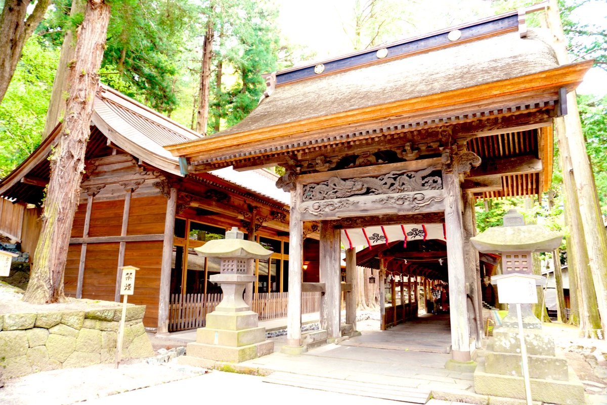 6Bikinitown's tweet photo. お出かけ🏯🍜🎃⛩️ https://t.co/VCBosqlIyz