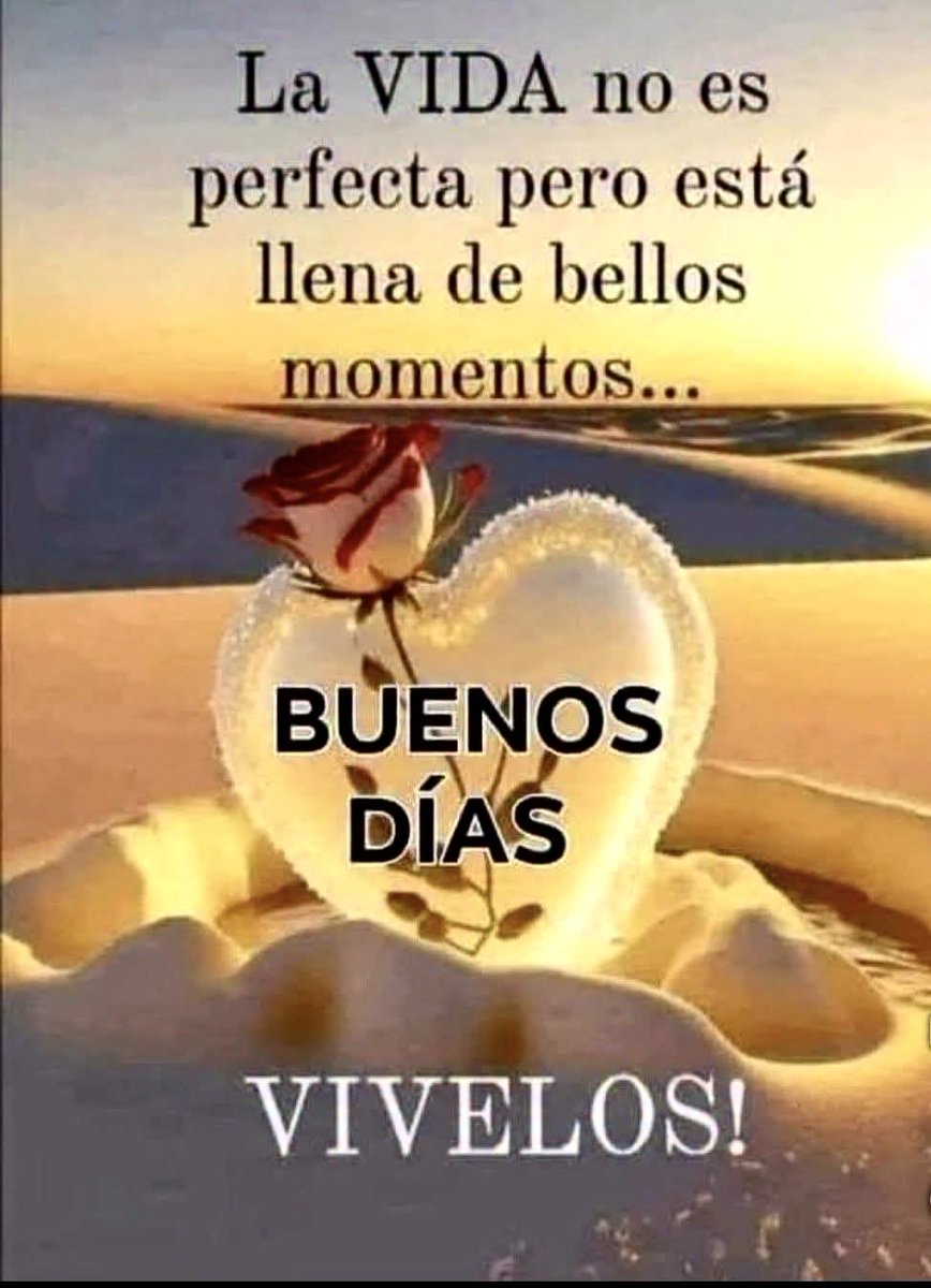 Sara B L tweet media