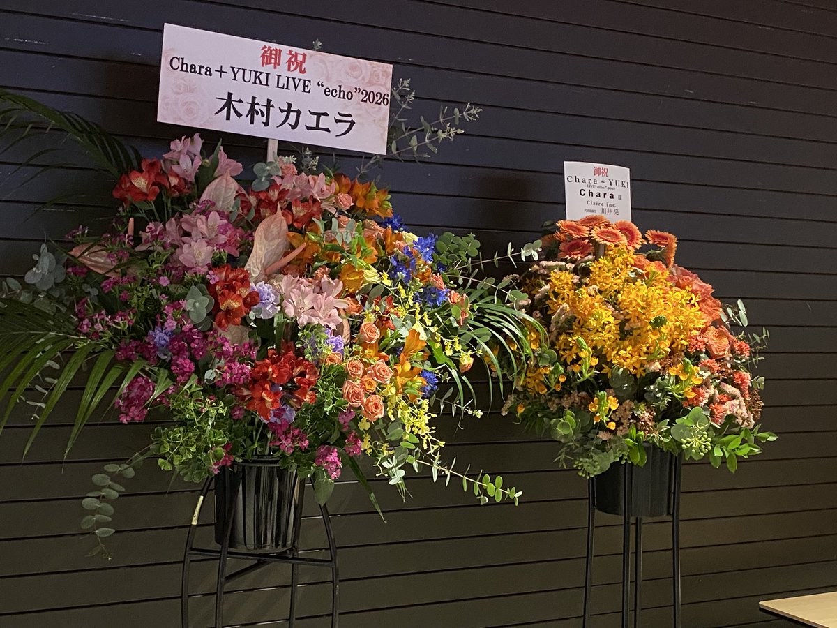 ぽっき～🧸🌻 tweet media