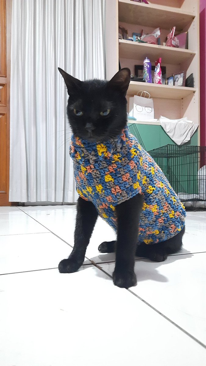 chan🐣🐈‍⬛🐼 tweet media