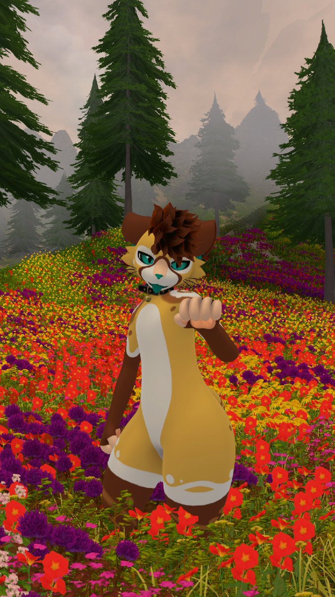 I love flowers