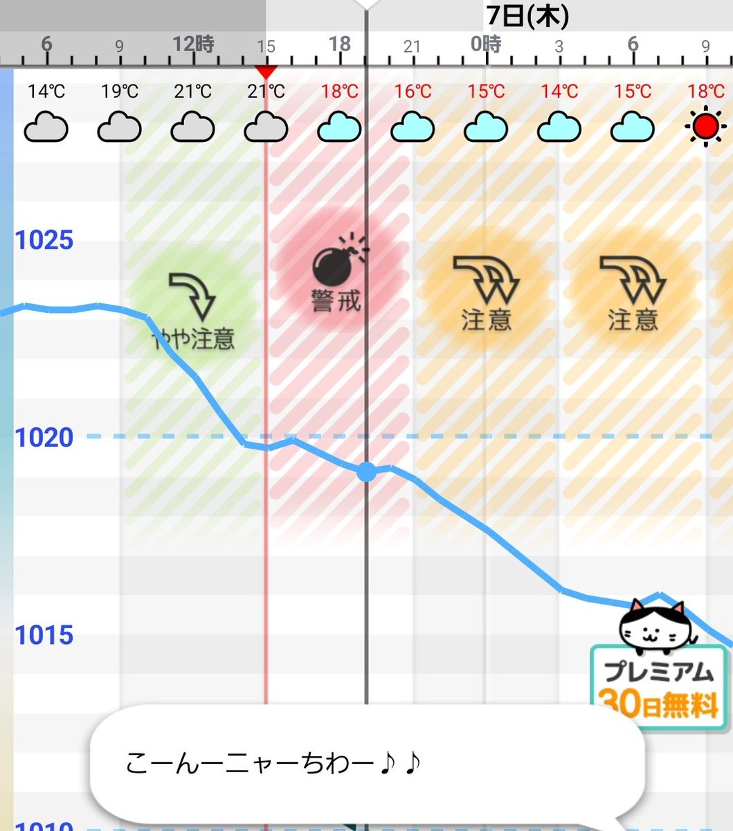 すずめ tweet media