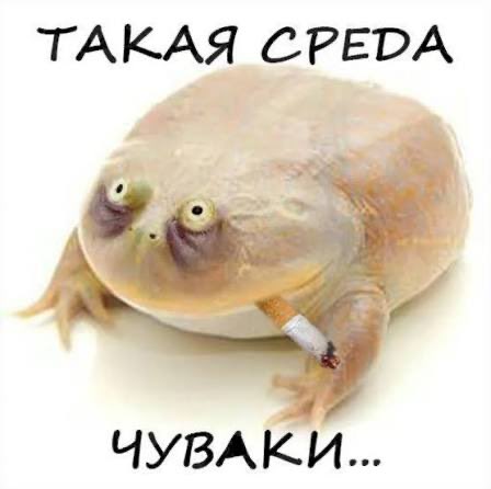 Проснулся сегодня с ощущением субботы