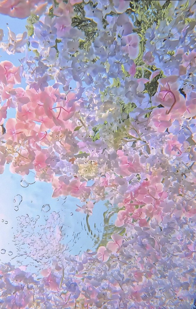 bloomelle tweet media