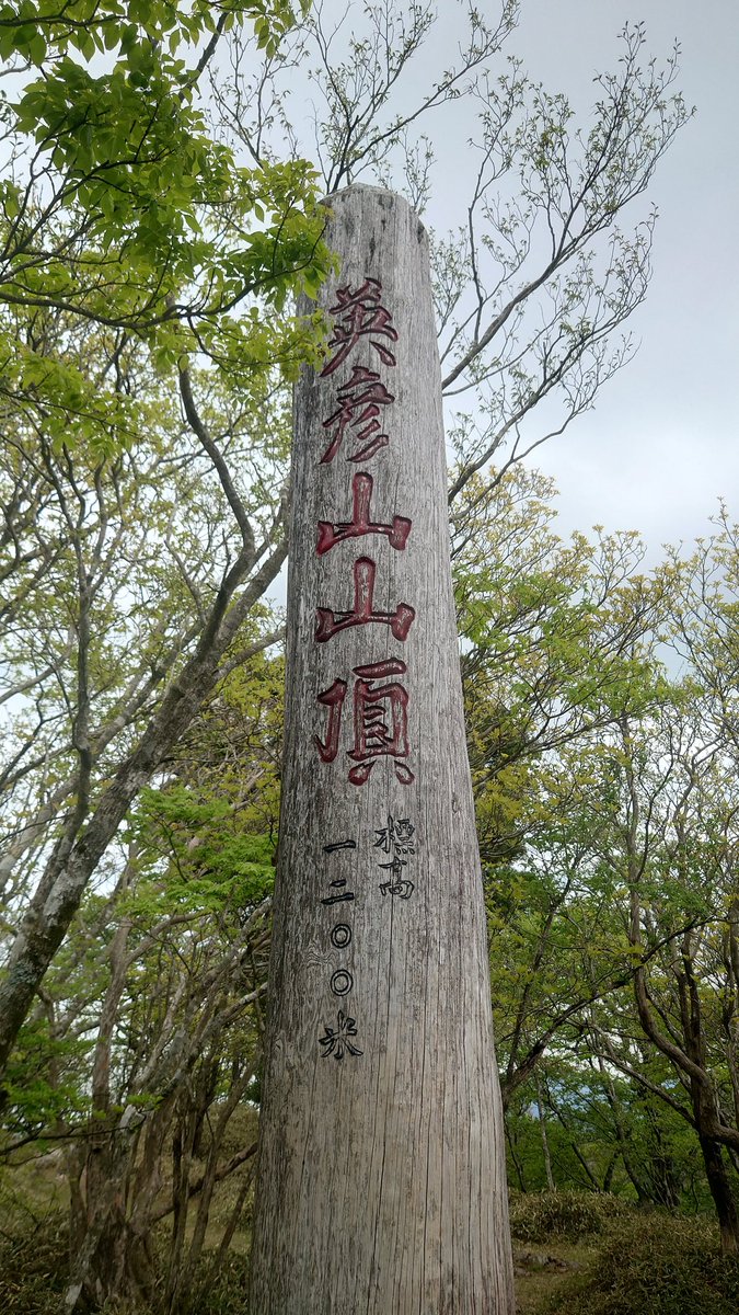ichita_cycle's tweet photo. 何もやってないので、GW最終日に登山でもしてみた。
『英彦山』
高校生の合宿で登った記憶があるけど、こんなもんだったかな…。ルートが違ったのか楽に感じた。あの頃の方が体力あるはずなのに。

身体のケアして、明日から頑張りましょ!! https://t.co/TkoAHt2rbh