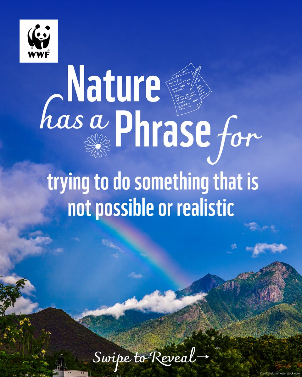 WWF-India tweet media