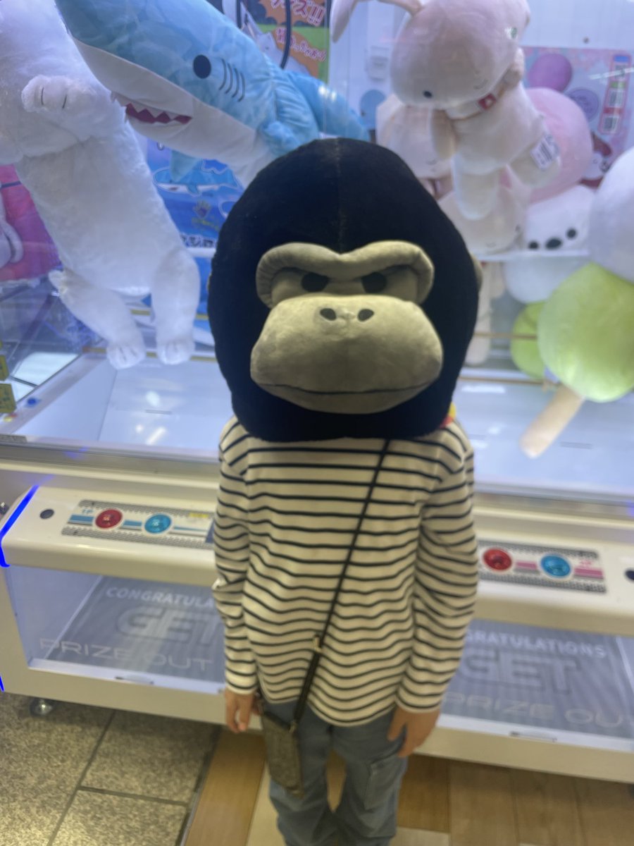 谷本吉紹|エースタイルGroup tweet media