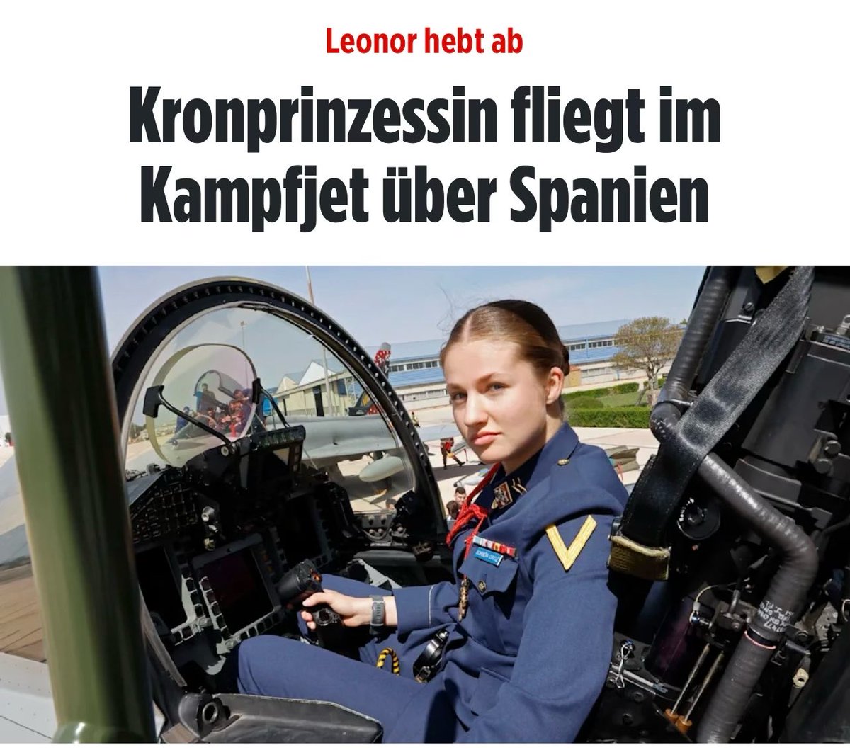 Grünfink tweet media