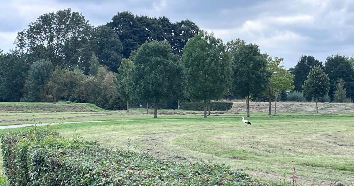 regleidscherijn's tweet photo. Bewoners Vleuten willen De Hampoort zelf beheren https://t.co/kc9sHS4iMk #leidscherijn #vleuten #demeern https://t.co/f64TiXmLnq