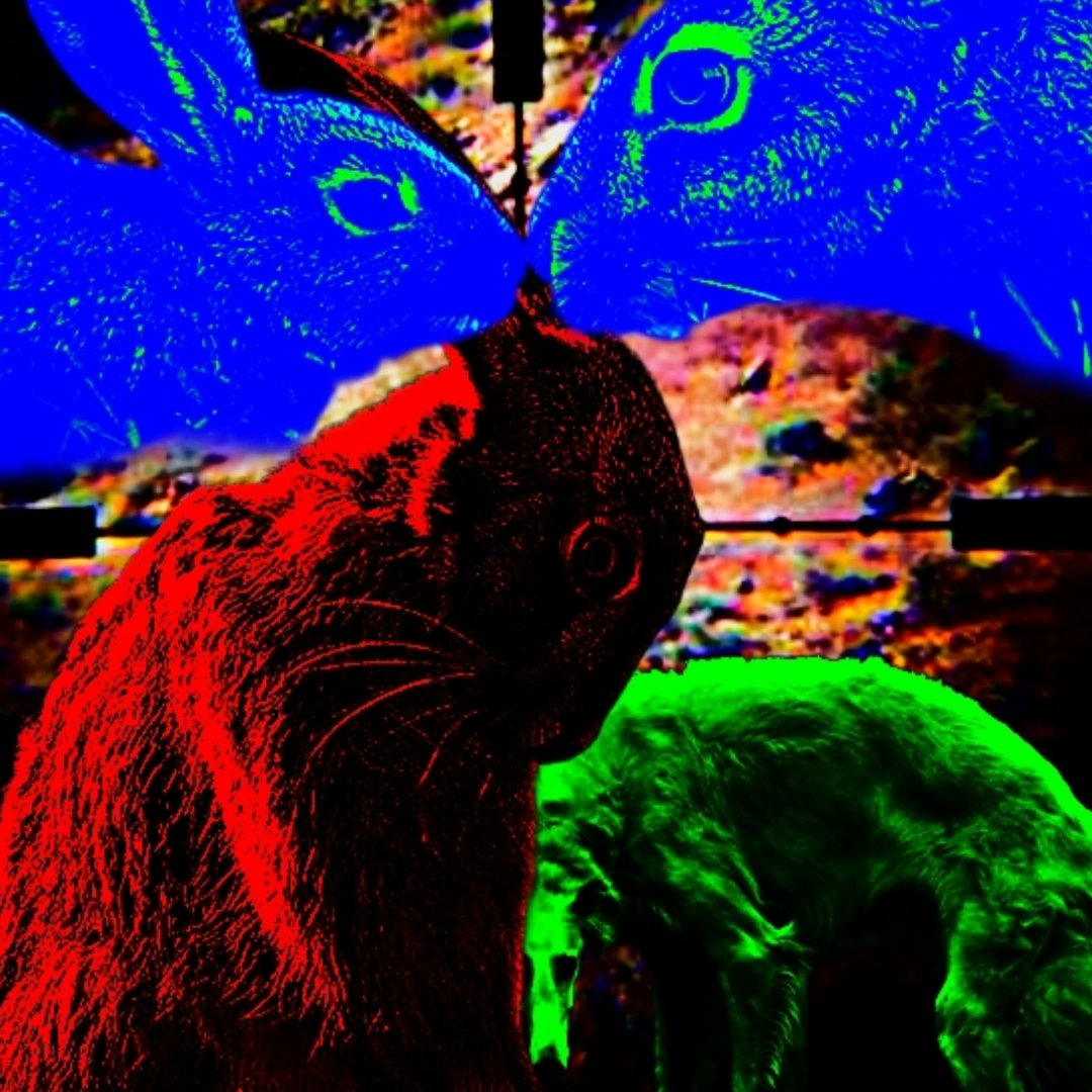 k0rek0's tweet photo. https://t.co/57YvN1zXI5