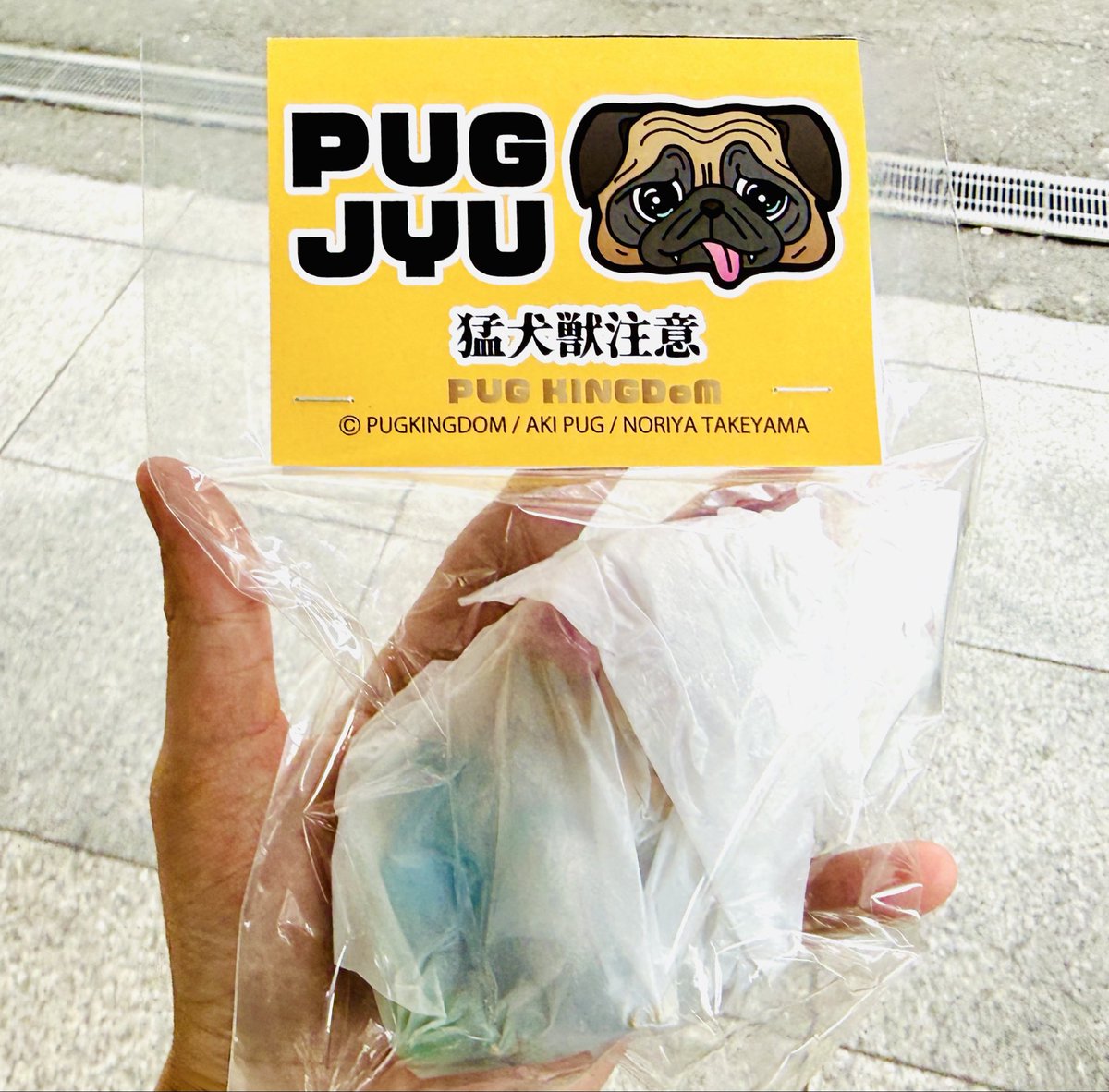 パグ獣🐶作った人→あきぱぐ🐶 (@pugchaa) / Posts / X