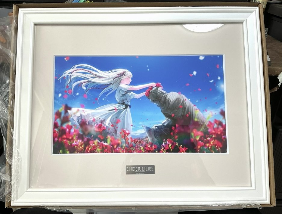 実家から戻ってきたらENDER LILIESのグッズが届いてた