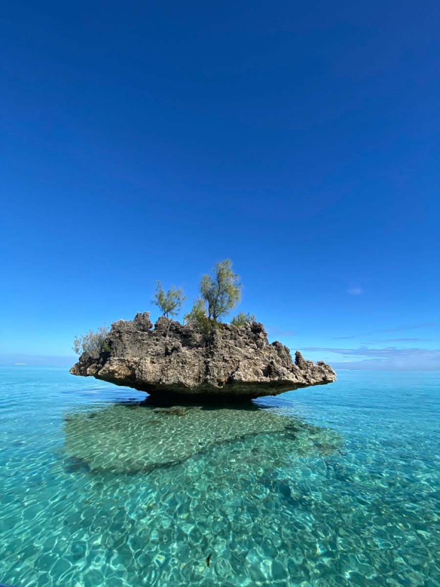 Mauritius Island tweet media