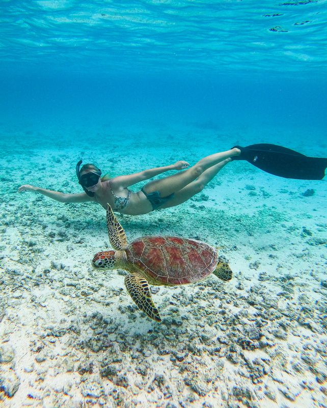 Mauritius Island tweet media