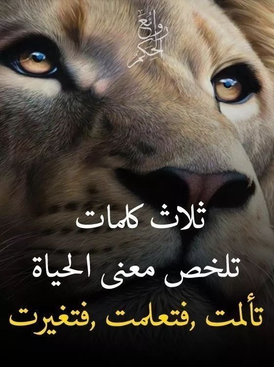 رفيع الشآن tweet media