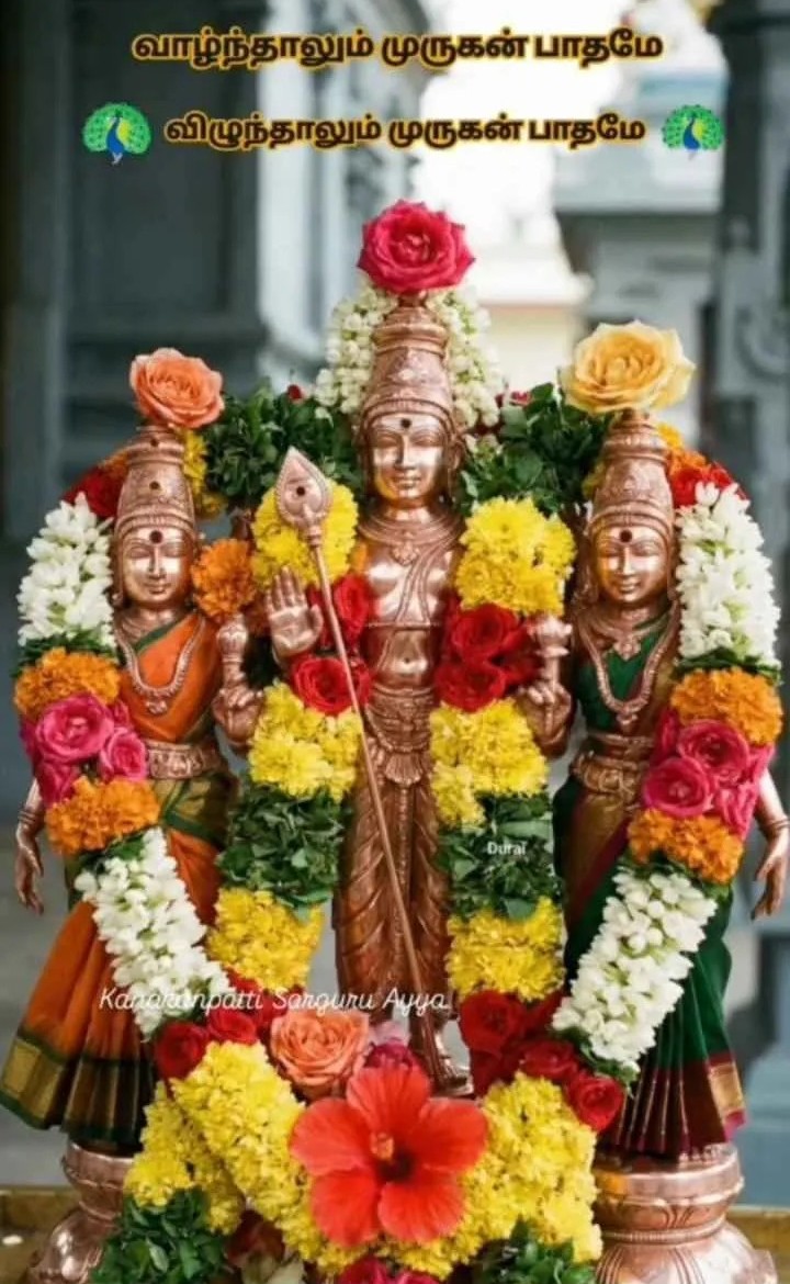 Krishna Kumar naidu (@Krishna91264027) / Posts / X