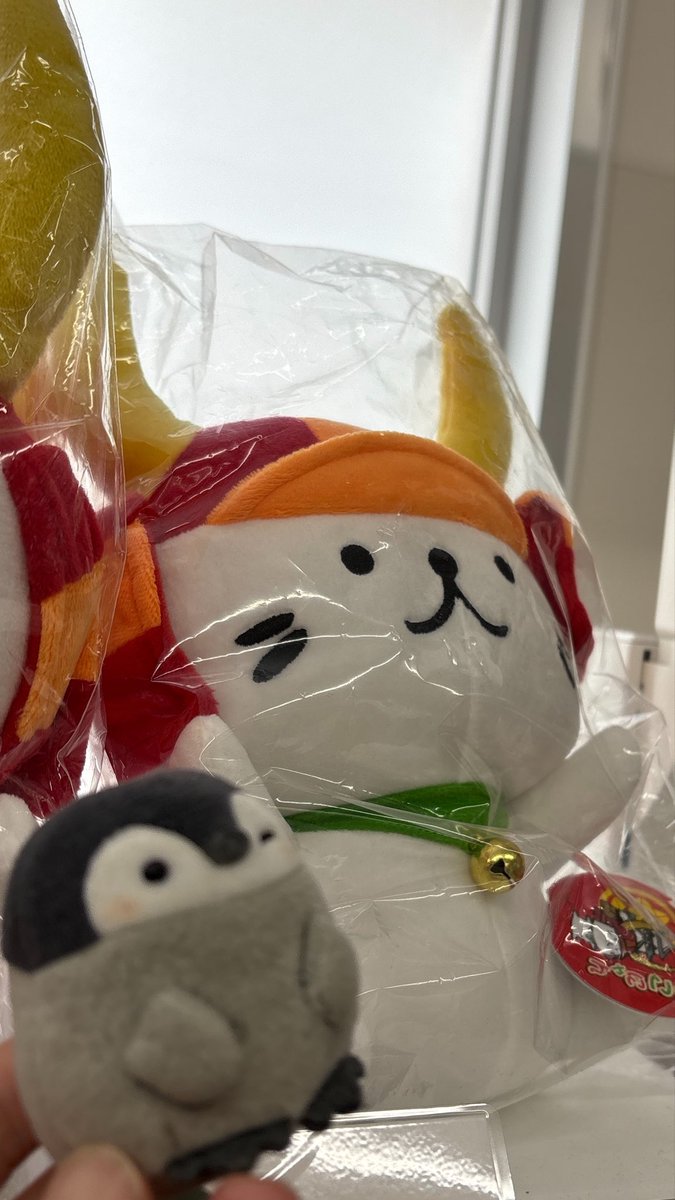 2人揃ってどこみてるのかな？👀