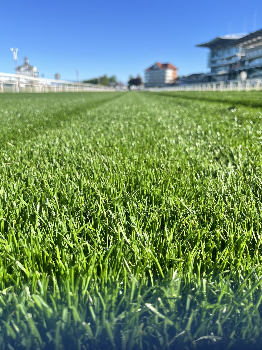 YorkClerk's tweet photo. A beautiful bright and chilly morning @yorkracecourse a week ahead of the Dante Festival. 
The Going is currently Good with 17.2mms rain in May to date.

https://t.co/IG4kqb1v2x https://t.co/hELTEUT26h