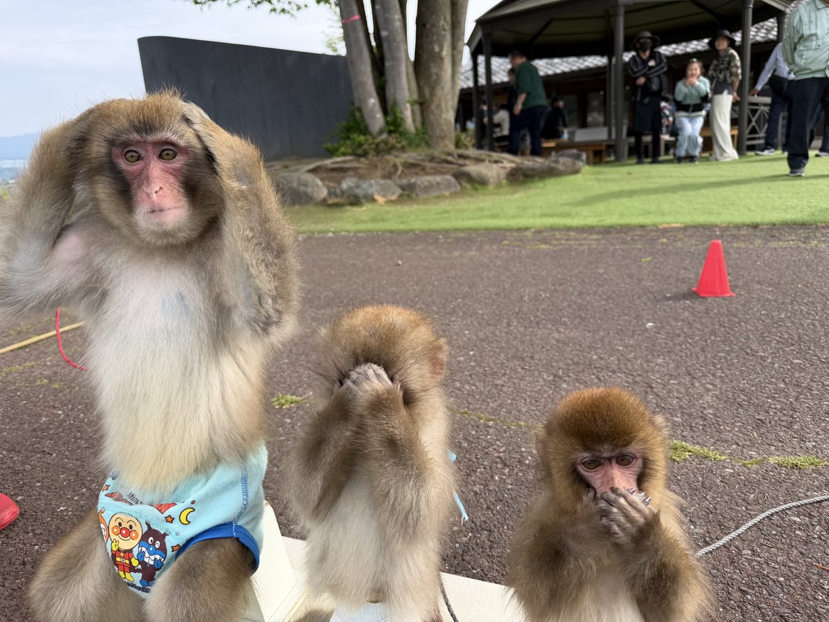 利美トレーナー (@monkikids) / Posts / X