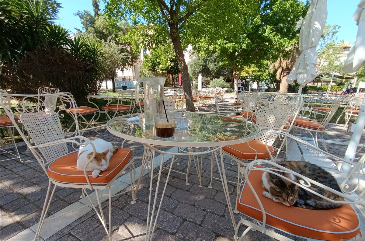 Άρης Κ. 🚴‍♂️ tweet media