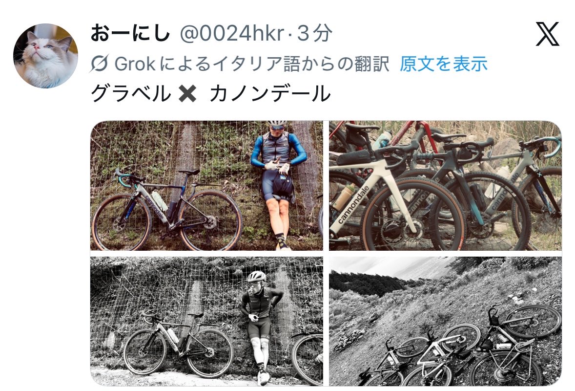 おーにし tweet media