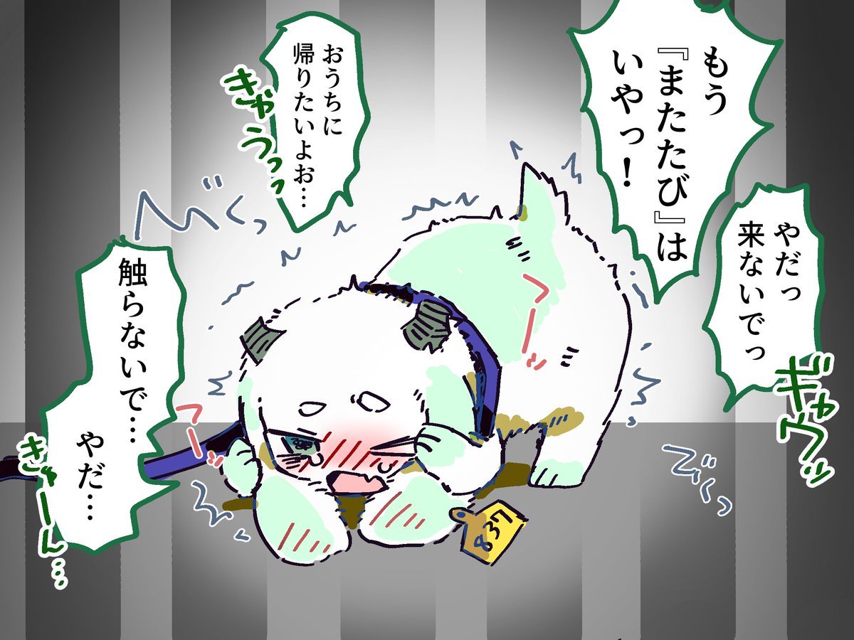 植物園の廃墟 tweet media